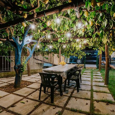 Il Giardino Dei Limoni Διαμέρισμα Polvica Εξωτερικό φωτογραφία