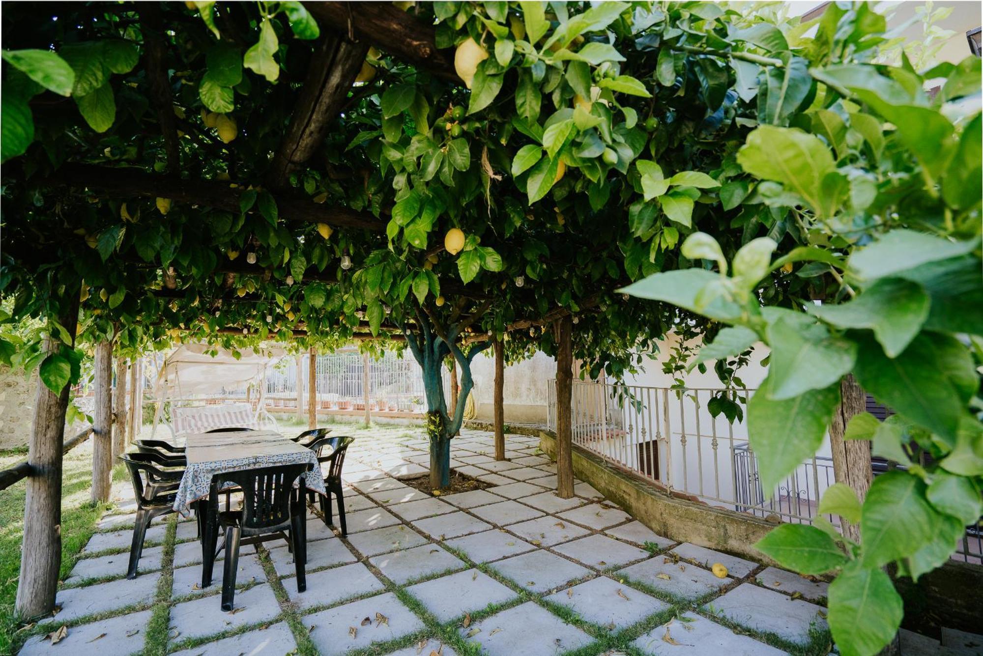 Il Giardino Dei Limoni Διαμέρισμα Polvica Εξωτερικό φωτογραφία